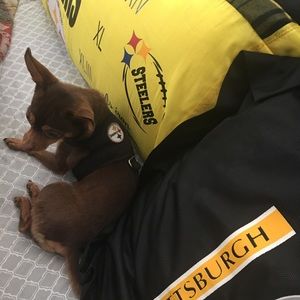 Meet your Posher, Barbara